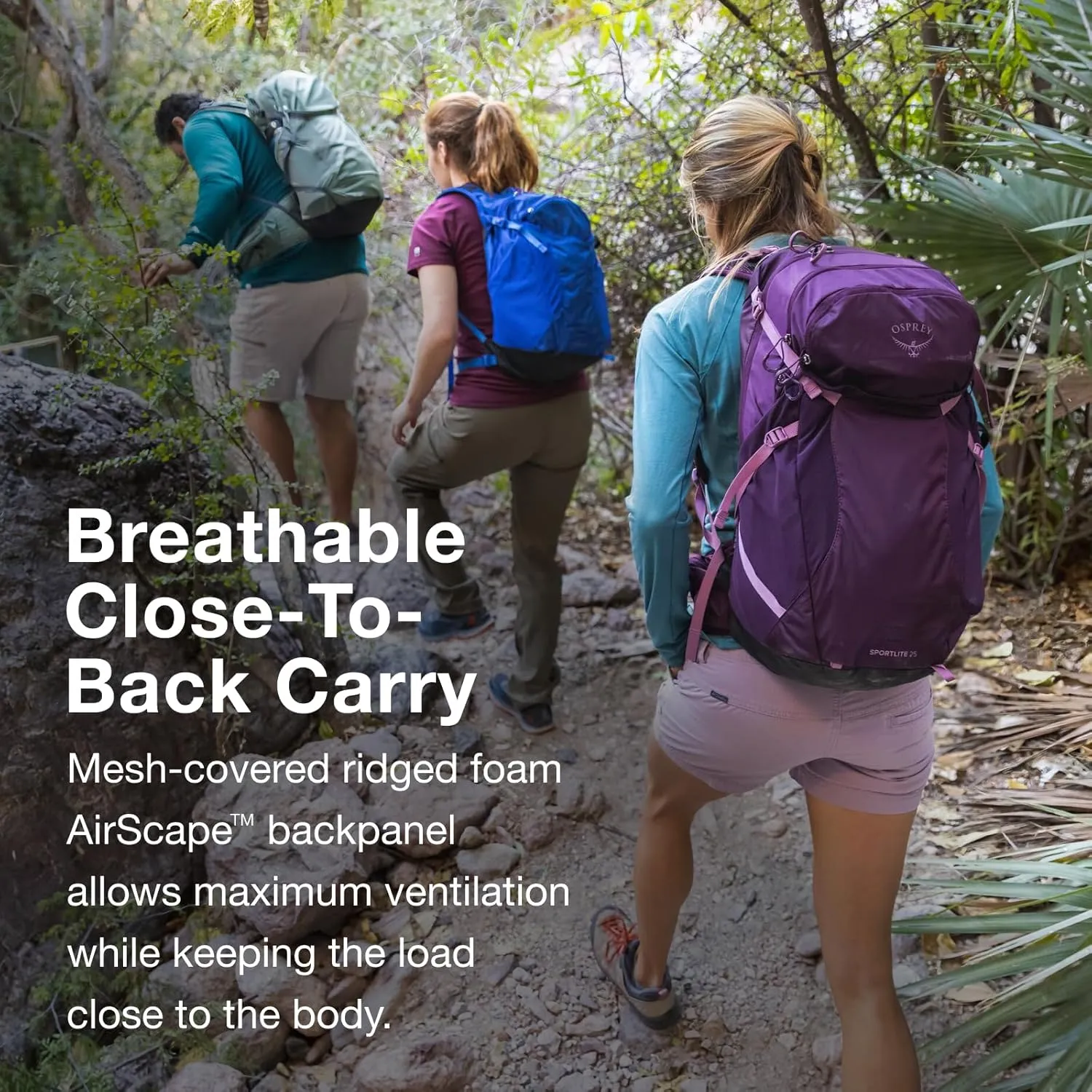 Osprey Sportlite 25L Unisex Lightweight Hiking Backpack, Alkaline/Hotspot Pink, S/M
